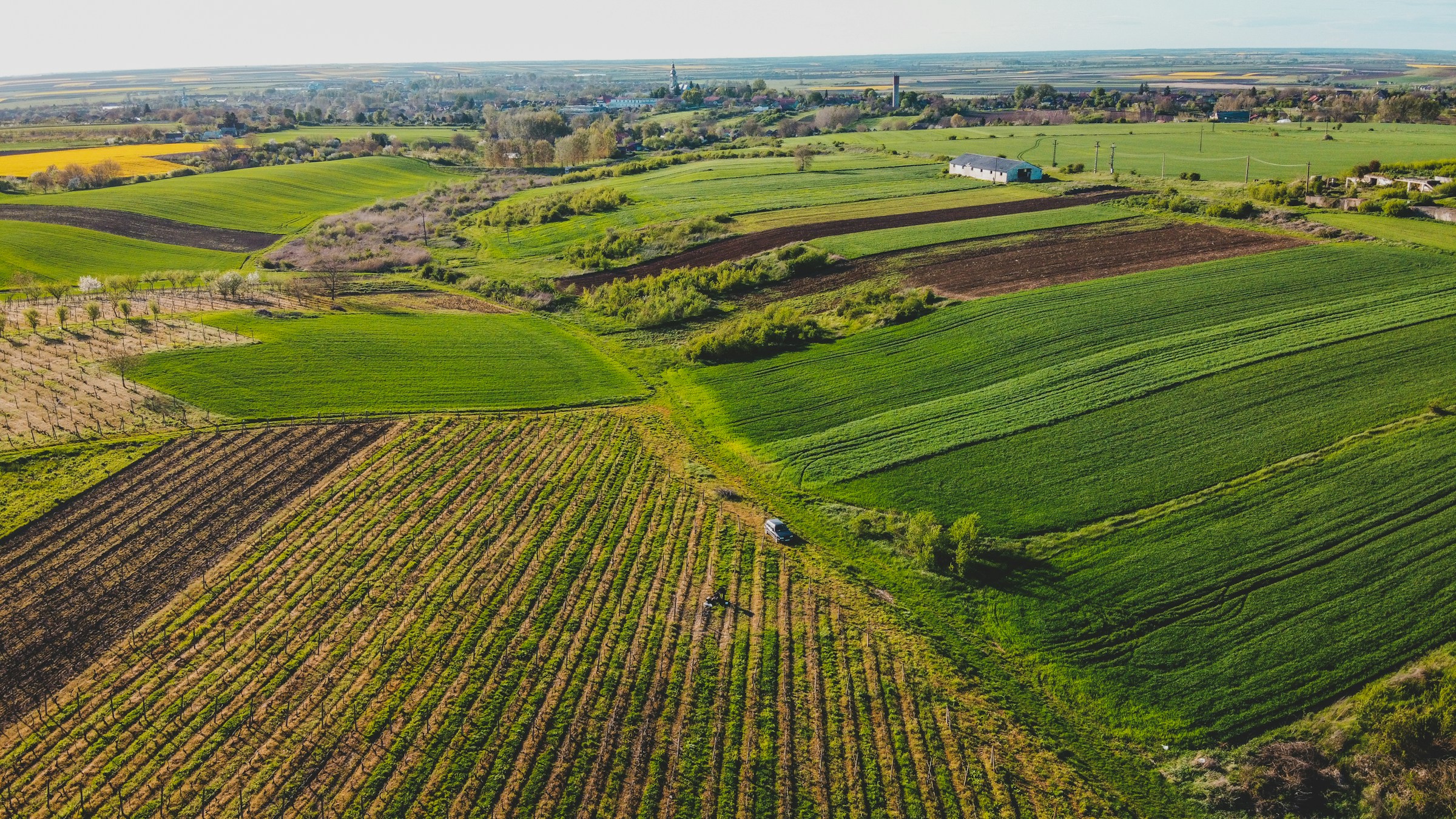 Vista aérea de campos cultivados